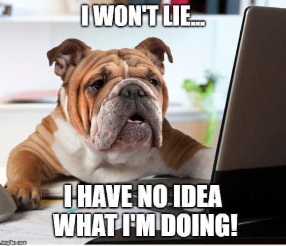 MillynGeorge (@millyngeorge) on Twitter photo 