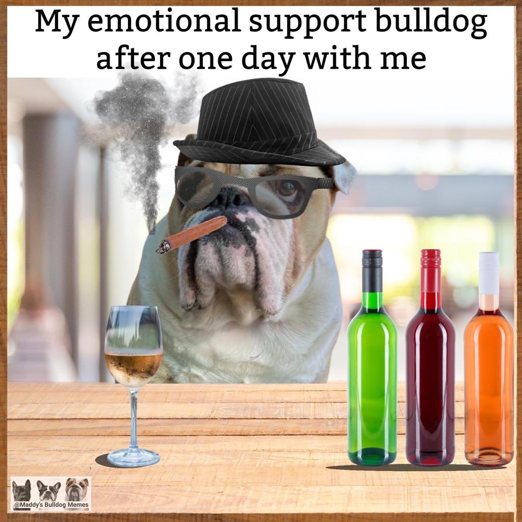 MillynGeorge (@millyngeorge) on Twitter photo 