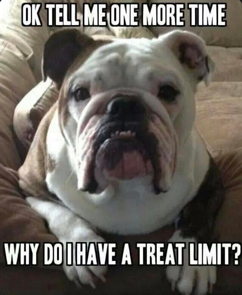 MillynGeorge (@millyngeorge) on Twitter photo 