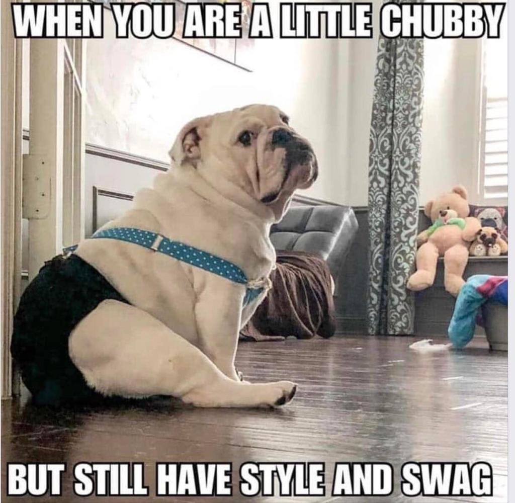 MillynGeorge (@millyngeorge) on Twitter photo 