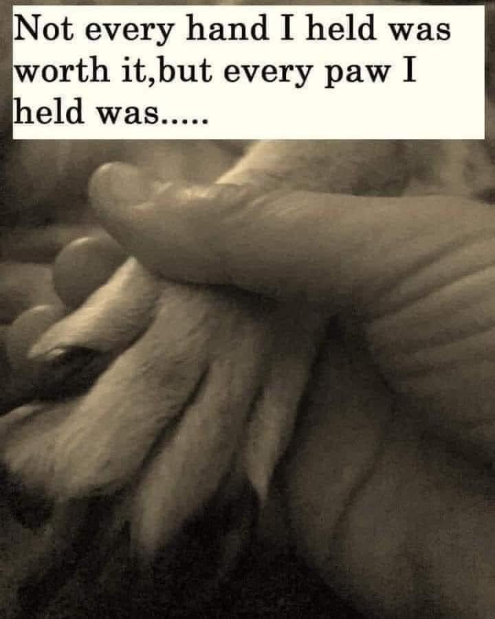 MillynGeorge (@millyngeorge) on Twitter photo 