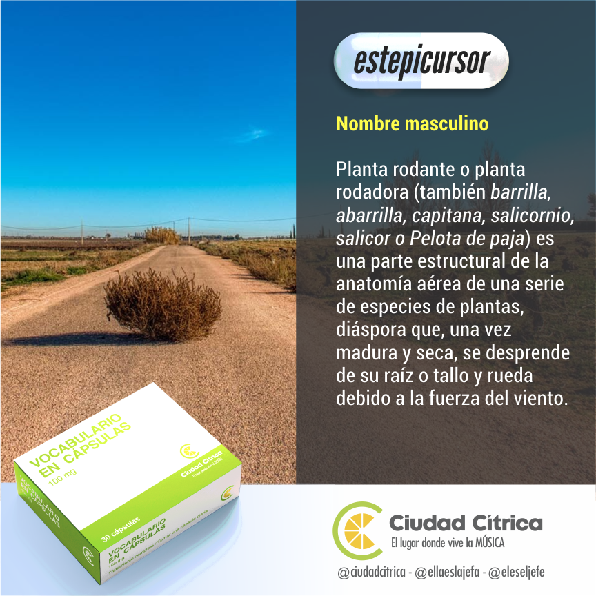 ciudadcitrica's tweet photo. #VocabularioEnCápsulas / #LaPalabraDeHoy es #ESTEPICURSOR. ¿La conocías? #cultura #diccionario #idioma #ortografía #vocabulario #HablaBien #EscribeBien https://t.co/JUhG5HSiEp
