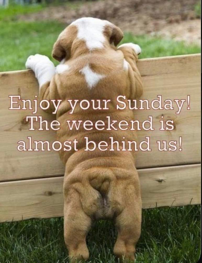 MillynGeorge (@millyngeorge) on Twitter photo 