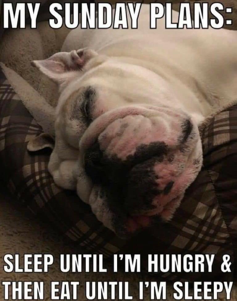 MillynGeorge (@millyngeorge) on Twitter photo 