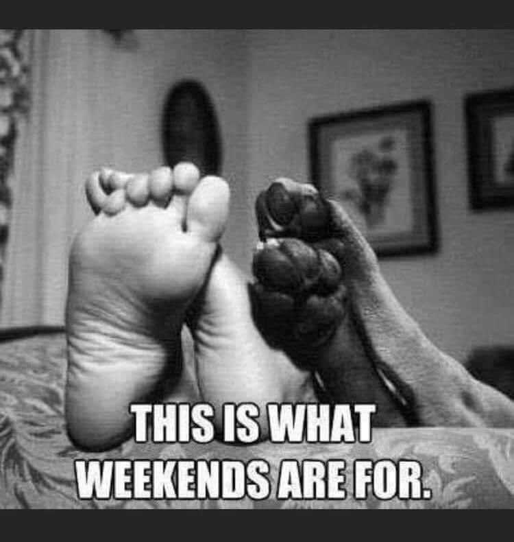 MillynGeorge (@millyngeorge) on Twitter photo 