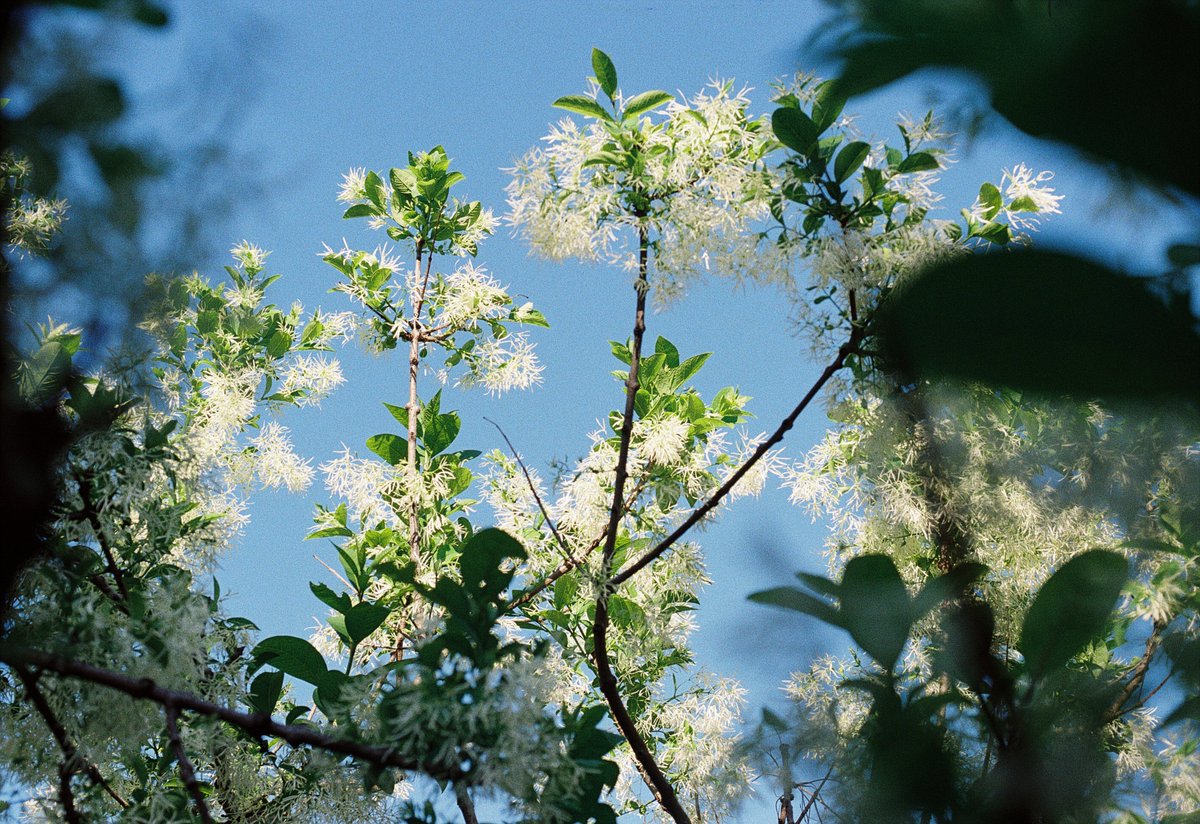 おはようございます