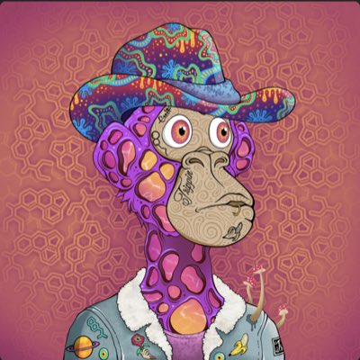 Baz_CryptoNFT's tweet photo. #NewProfilePic https://t.co/suyn6851ty