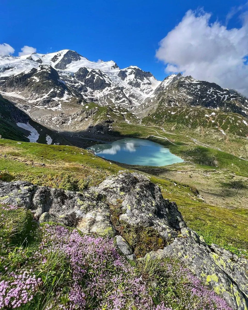 JungfrauRegion's tweet photo. Enjoy this wonderful Sunday😎
@Haslital | @madeinbern | @MySwitzerland_e
#DiniWält #jungfrauregion #haslital #steinsee #sustenpass #swissalps #madeinbern #switzerland #inLOVEwithSWITZERLAND
🙌📸 https://t.co/NUbD0HILNs https://t.co/UquwSdKiMb