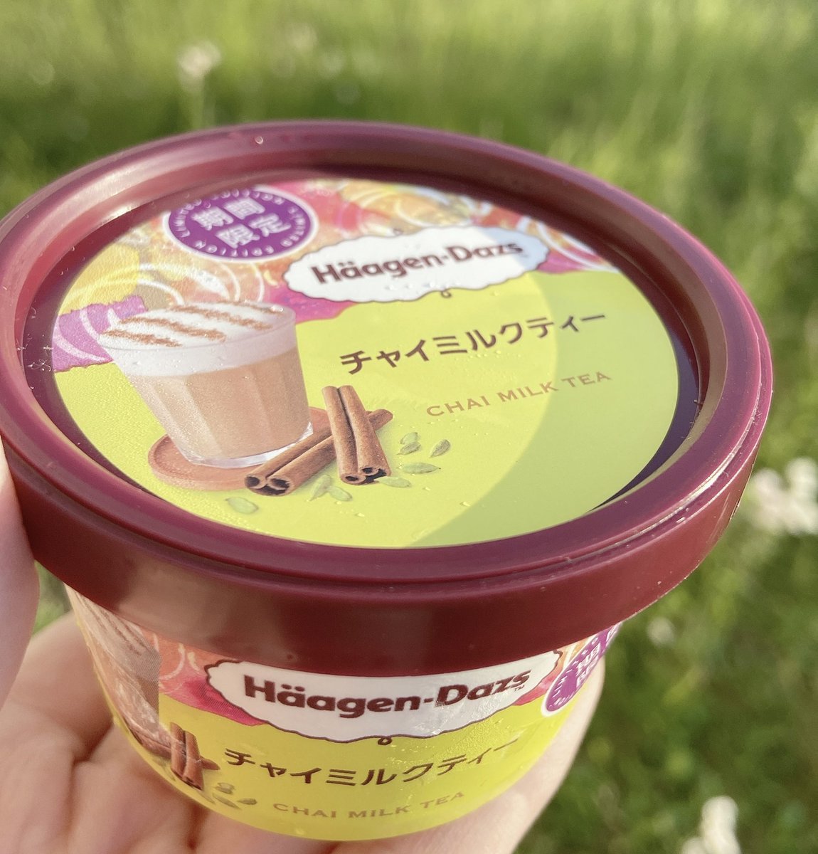 srpn_8's tweet photo. ハーゲンダッツ チャイミルクティー

チャイ味って当たり外れけっこうあって
これはきちんと濃い
さすが安定のダッツさんというおあじ https://t.co/i4TnAWOkCv