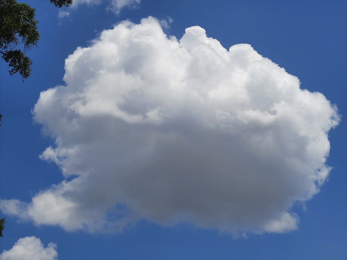 #JaxFL Cumulus #clouds on a 🔥90°+ blue sky day #nature #StormHour #ThePhotoHour #AJSGArt #ViaAStockADay @WizardWeather @JAclouds @luketaplin42 @WilliamBug4 @cloudymamma @mypicworld @enjoyscooking #firstalertwx @EarthandClouds2 @PicPoet @tracyfromjax #photography #weather #flwx