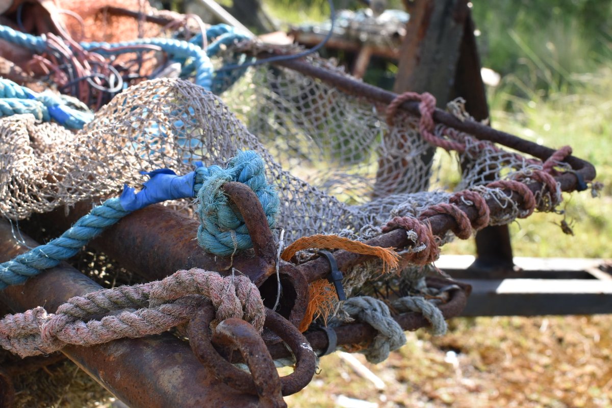 Tracey (@pebble_photo) on Twitter photo 