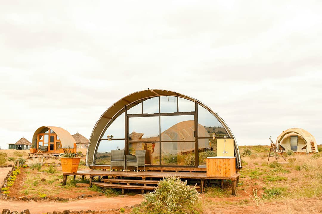 letsDiscoverke's tweet photo. Let's explore Amboseli, check out the amazing Little Amanya Camp. https://t.co/7nqcuAleXZ