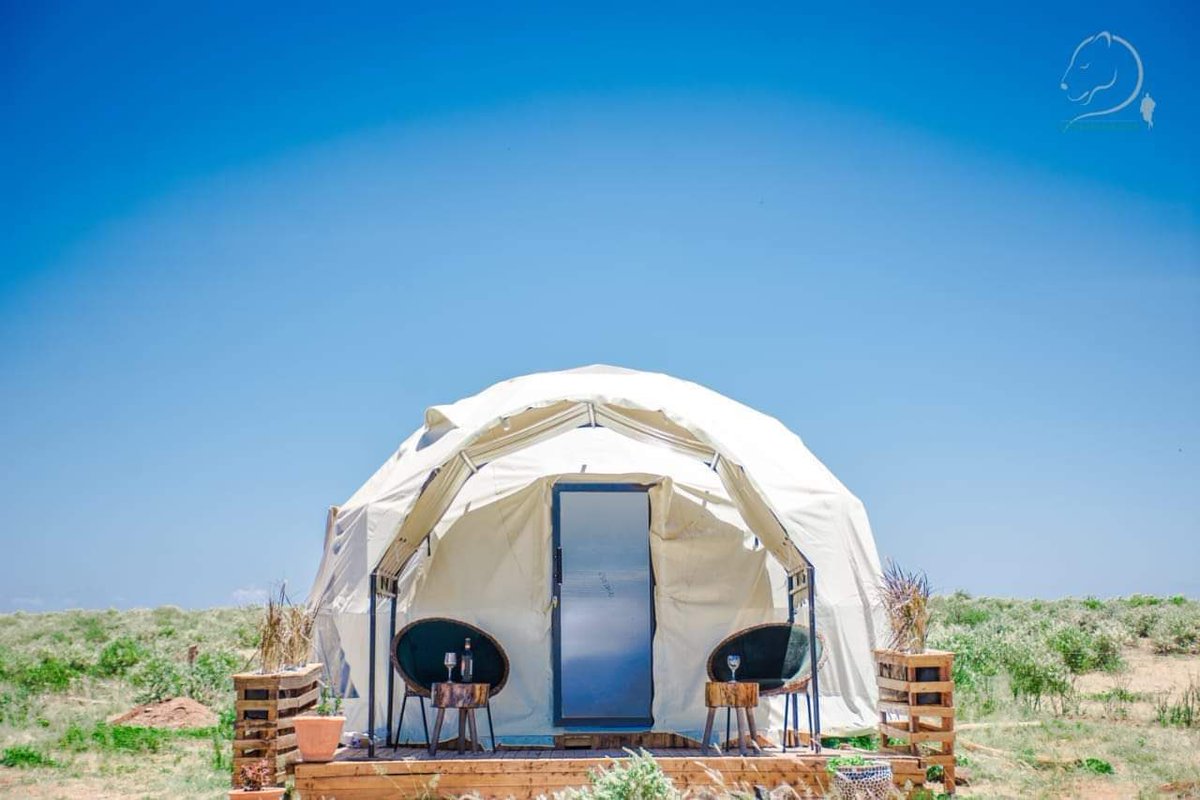 letsDiscoverke's tweet photo. Let's explore Amboseli, check out the amazing Little Amanya Camp. https://t.co/7nqcuAleXZ