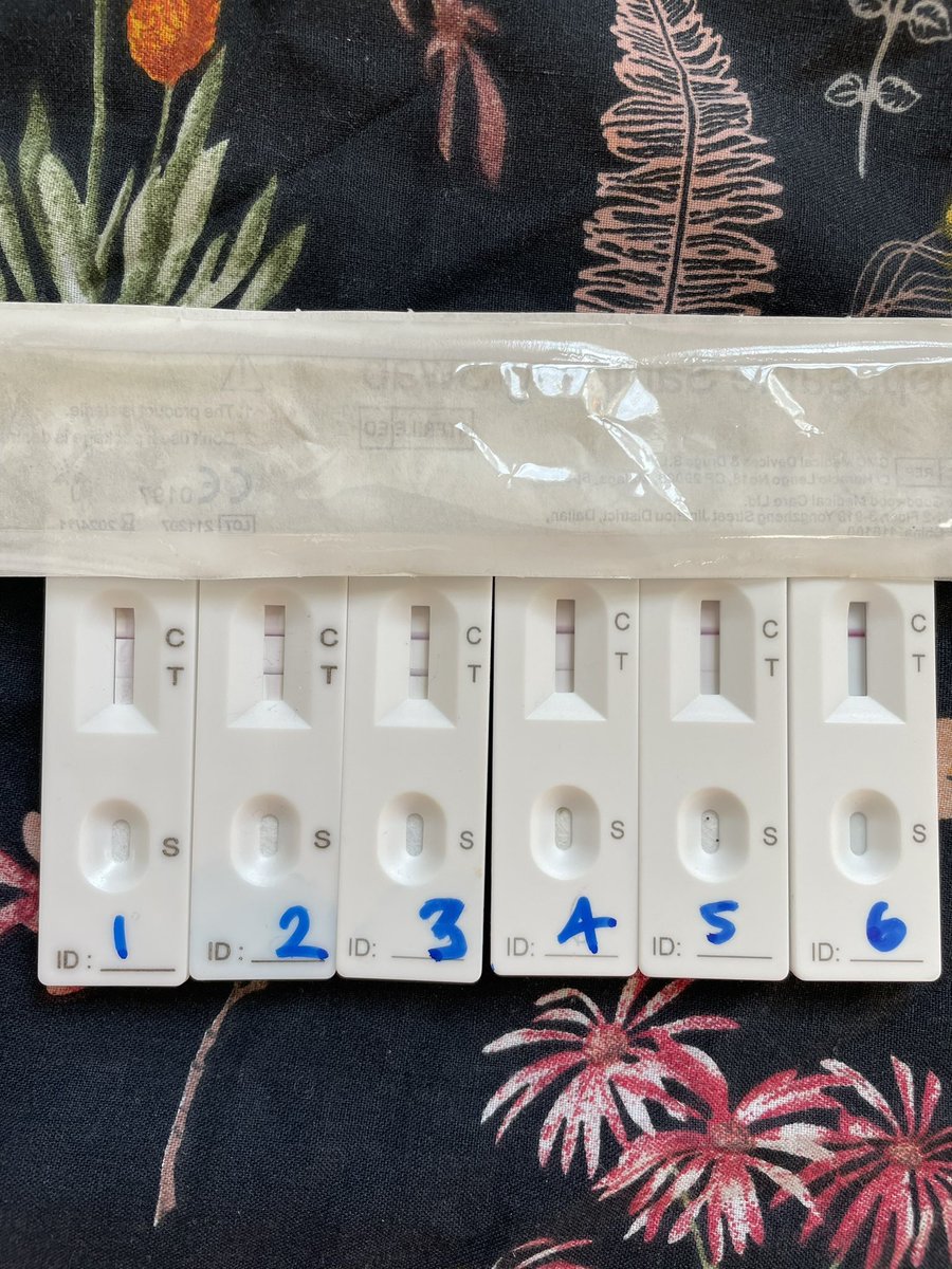 Hannah Rickman tweet media