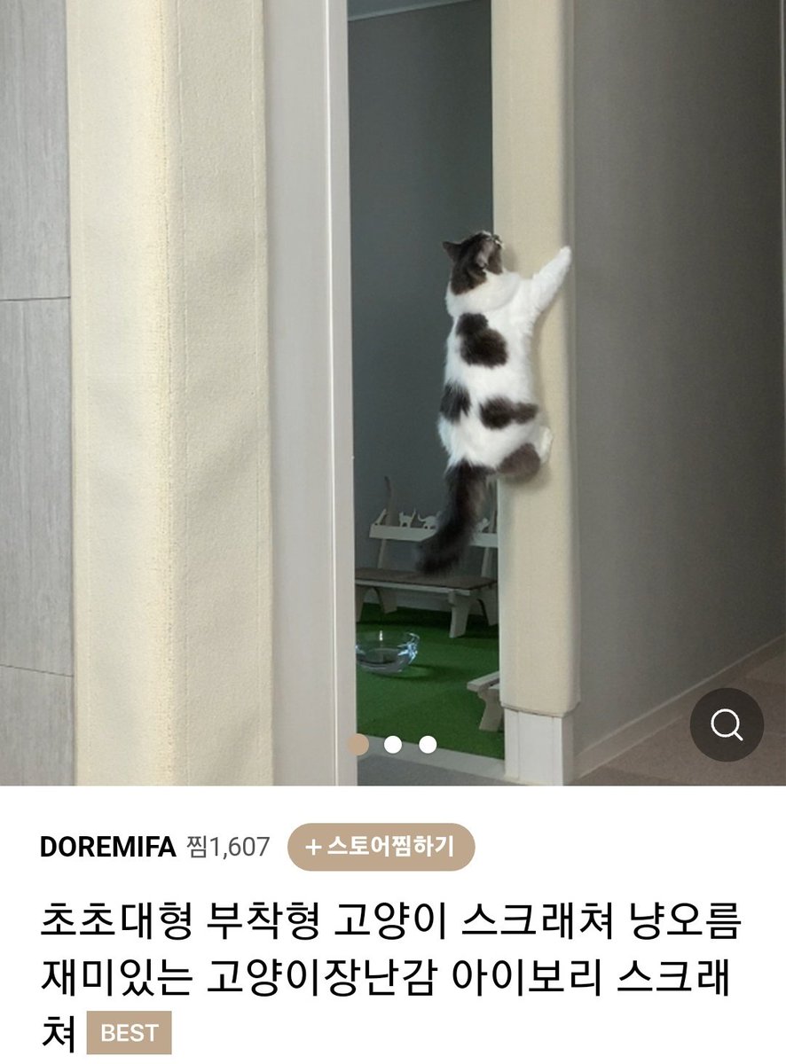 kimgoyangs's tweet photo. 이 사진 볼때마다 웃음을 멈출 수가 없음 https://t.co/pDwFGWbS8u