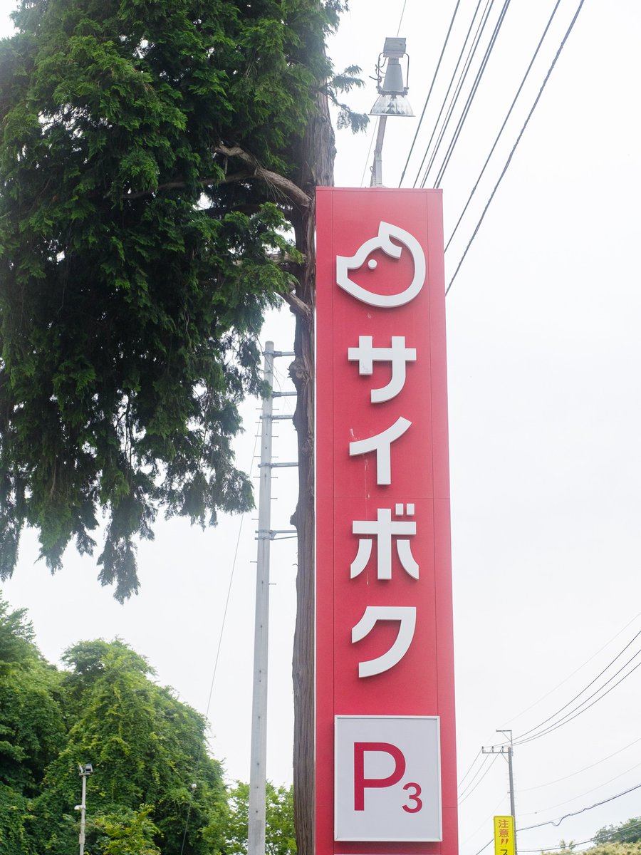 platinumplus_jp's tweet photo. 昨日 https://t.co/anFq73U99Z