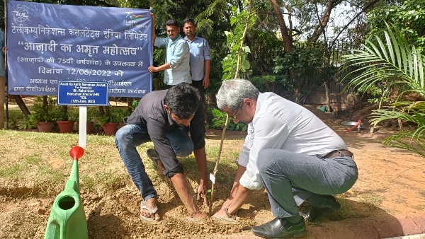TCILHQ's tweet photo. As part of #AKAMMegaShow being organized under the aegis of @DPE_GoI, to celebrate 75 years of Indian Independence, TCIL organized a plantation drive where CMD, Directors &amp; other officials planted the saplings. #CPSEPlantationDrive
#PlantATree
#AKAMmyTree
#AmritMahotsav https://t.co/6uynjQJGak
