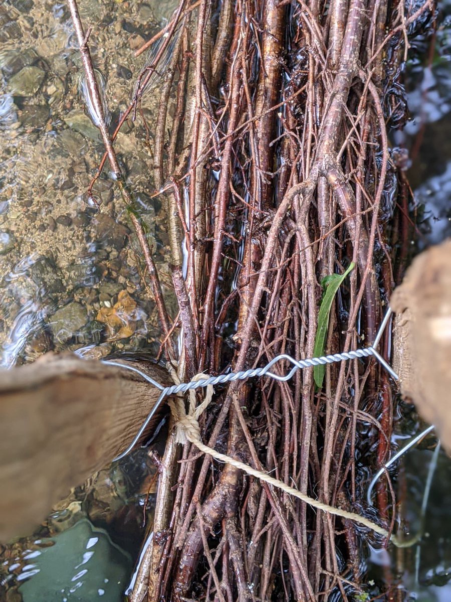 Upper Witham restoration it’s all in the detail <a href="/LionsEnv/">Lions Environmental Limited</a> <a href="/WildTroutTrust/">The Wild Trout Trust</a>