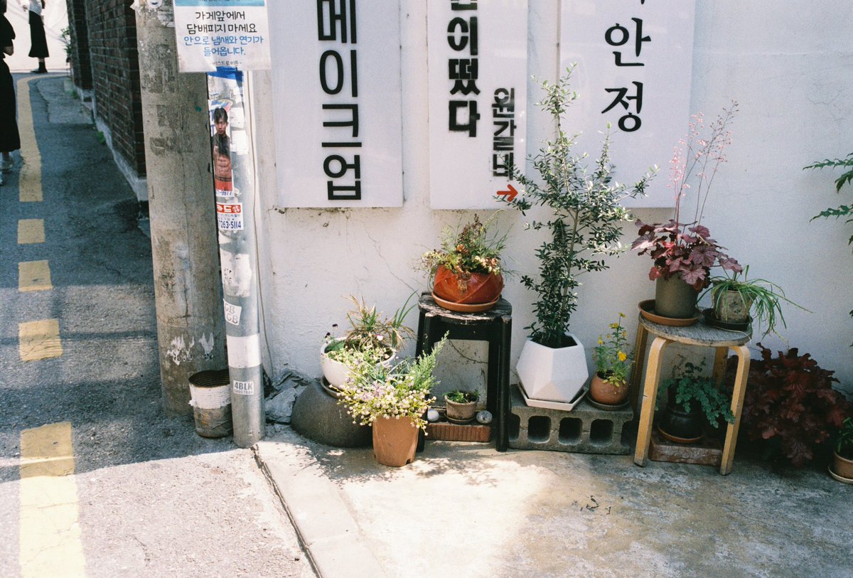 tontawan_t's tweet photo. Seoul2022,fuji xtra400,leica mp🫧🎻🌺✨ https://t.co/OHscXSPUv8