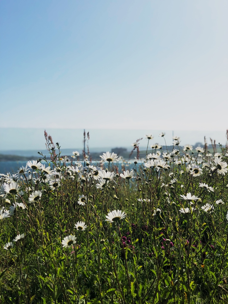Lewinnick Lodge tweet media