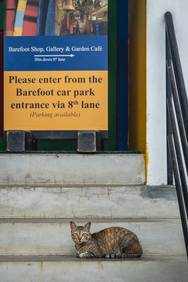 Nazly Ahmed tweet media