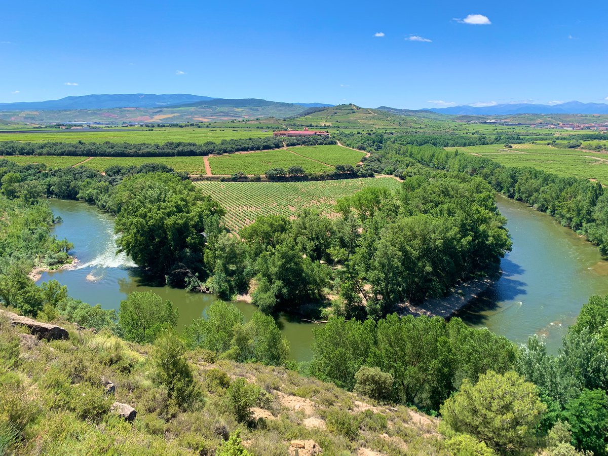 CronicoViajero's tweet photo. La @BodegaValdelana es una institución en la Rioja Alavesa y conocerla ha sido un auténtico placer. ¡Llevan cuatro siglos haciendo vino en Elciego! Y descubrir su jardín de variedades ha sido sencillamente espectacular. #BasqueRoute https://t.co/Gc5sgelrmv
