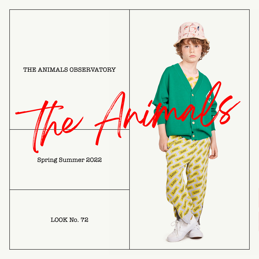 TheAnimalsObs's tweet photo. There are nice looks and then there’s the coolest look of them all: 

Starfish Hat + Grey The Animals Panther Pants + Grey The Animals Prawn T-Shirt + Green Plain Racoon Cardigan.

Available at https://t.co/eRkdE5rYd0

#BeAGoodAnimal https://t.co/lZL5hdkhLL