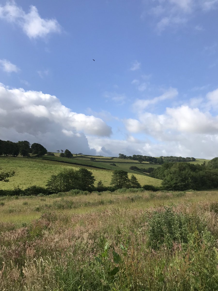 RShelley_bowls's tweet photo. View on the morning walk round #Goodleigh #Devon https://t.co/V8W31jqkNA
