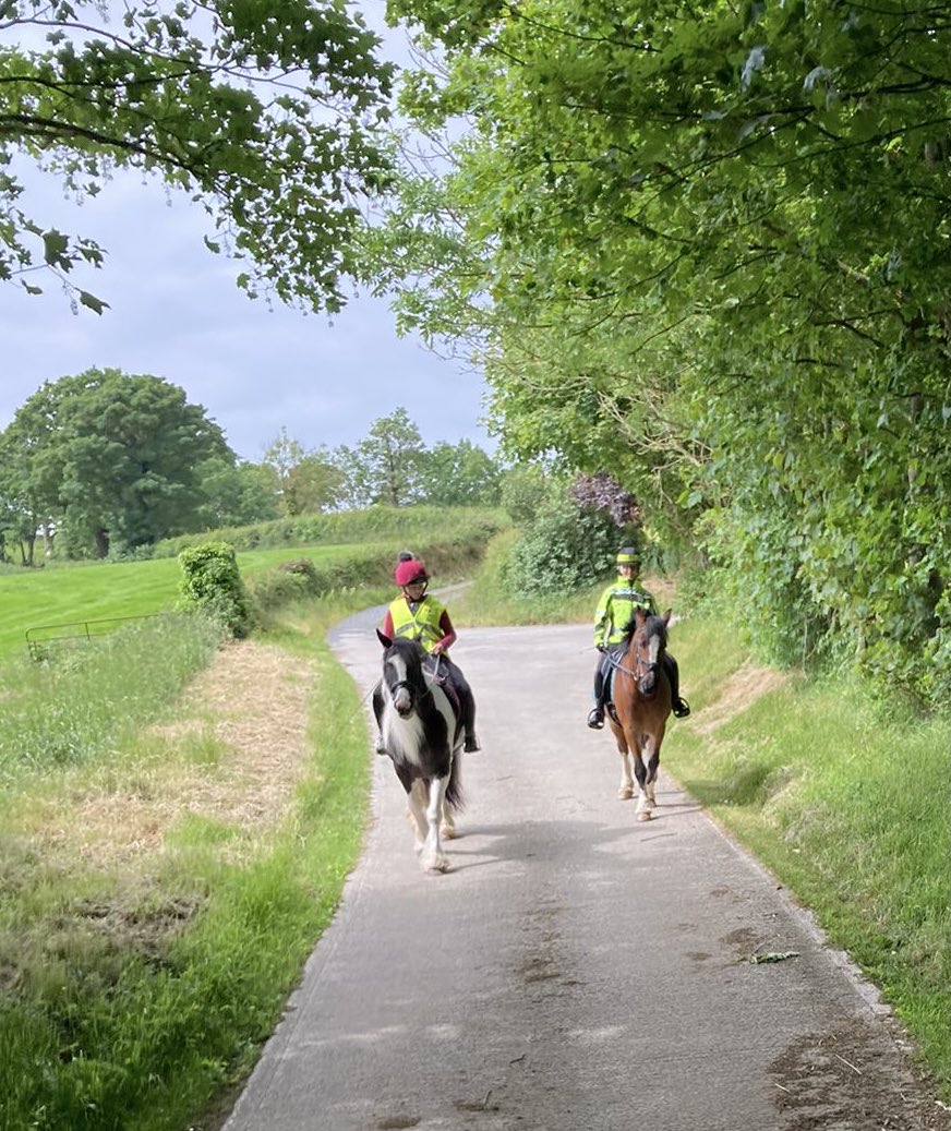 carol199's tweet photo. My happy place 💕 #Roxy #GoodPony #Hillsborough #Hacking #OneHorsepower #HiViz https://t.co/S9hAn2HWFa
