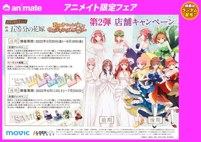 銀魂 下敷き アニメイト ムービック 本格派ま ムービック