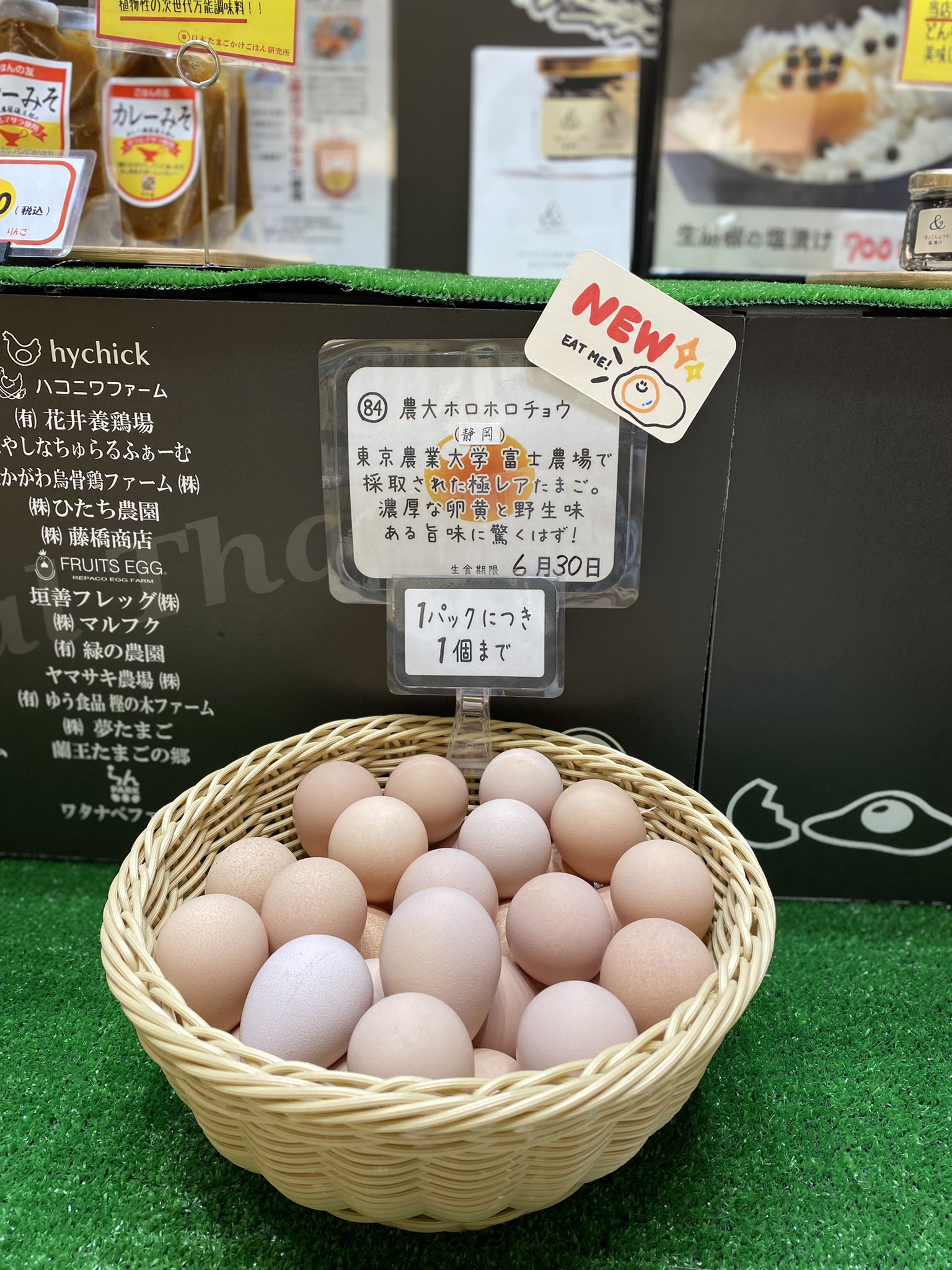 ホロホロ鳥 ホロホロ鳥7個 食用有精卵 食用有精卵10個