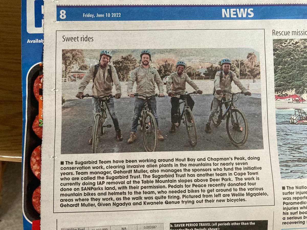 Meistergeh's tweet photo. Thanks to #pedalsforpeace for the bicycle 🚲 donation to the #sugarbirdteam (privately funded) busy clearing the mountains from invasive alien plants around Hout Bay. Now the commute from Imizamo Yethu to the mountains are much better. @geordinhl @urbanjodi https://t.co/yQmnuj3DaU