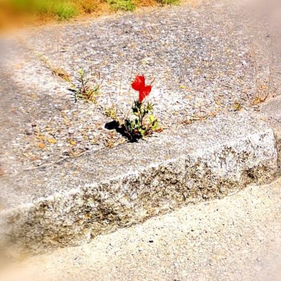 stouf2p's tweet photo. #NouvellePhotoDeProfil https://t.co/IUrLWj4Ly4
