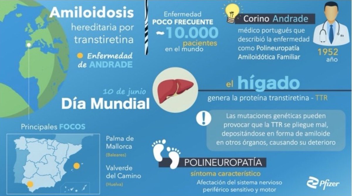 NoInvisibles's tweet photo. El pasado #10J, día de la enfermedad de #Andrade
Se estrenó el documental @docuarbolvida q promueve #ASVEA, dirigido por @Fer__Arroyo, donde pacientes, familiares y sanitarios son protagonistas
Una gran noche, de reivindicación de la vida y la superación💪
https://t.co/Xbmkbt0bRx https://t.co/ADUsHmwCBK