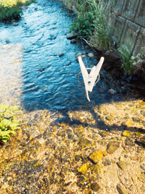 ザリガニを狙いましたが居なかったし
俊敏さに欠けるので
蟹の抜け殻とか激弱り足なし蟹とかしか捕まえられなかったです(;o;) 