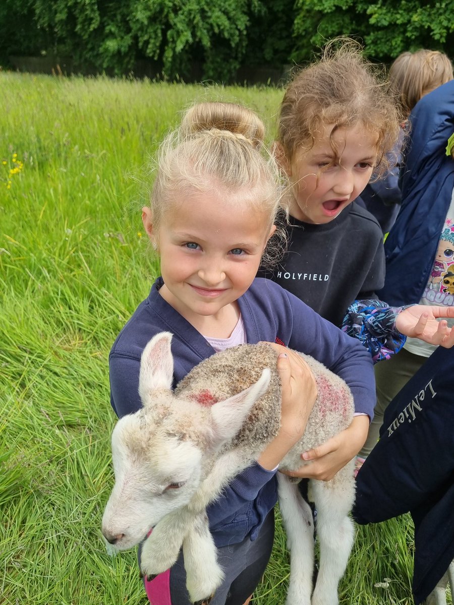KMSMissSheppard's tweet photo. Year 2 had a fantastic day at Duncombe Park last Thursday.  They learnt how to milk a cow by hand, explored a river sample where they discovered more creatures than they could imagine and got to learn so many interesting things about animal life in the local area. #explore https://t.co/7KdOFNKkBl