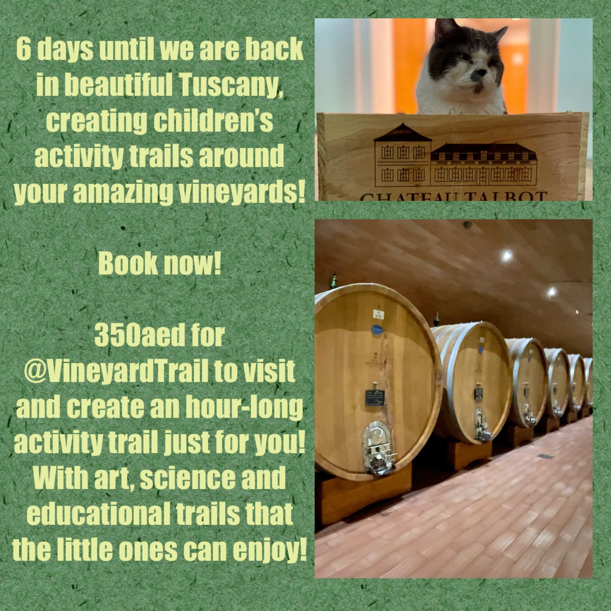 VineyardTrail's tweet photo. @AntinoriFamily @MarchesiGondi @MarchesiMazzei @MarchesiBarolo Book now! 350€ for @VineyardTrail to visit and create an hour-long activity trail just for you! With art, science and educational trails that the little ones can enjoy! Even the cat is ready!🍷 https://t.co/v1HklJEILE