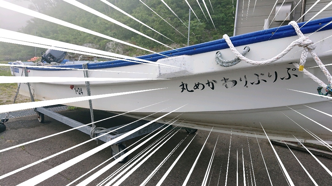 モリパ 漁船の名前といえば 大漁丸 とか 勝鬨丸 といった海のオトコ 的なものが多く どこからともなく鳥羽一郎の 兄弟船 が聞こえてきそうなわけで そんな漁船たちと並んでいた ぷりぷりわかめ丸 かわいすぎる 三陸産のワカメはぷりぷり