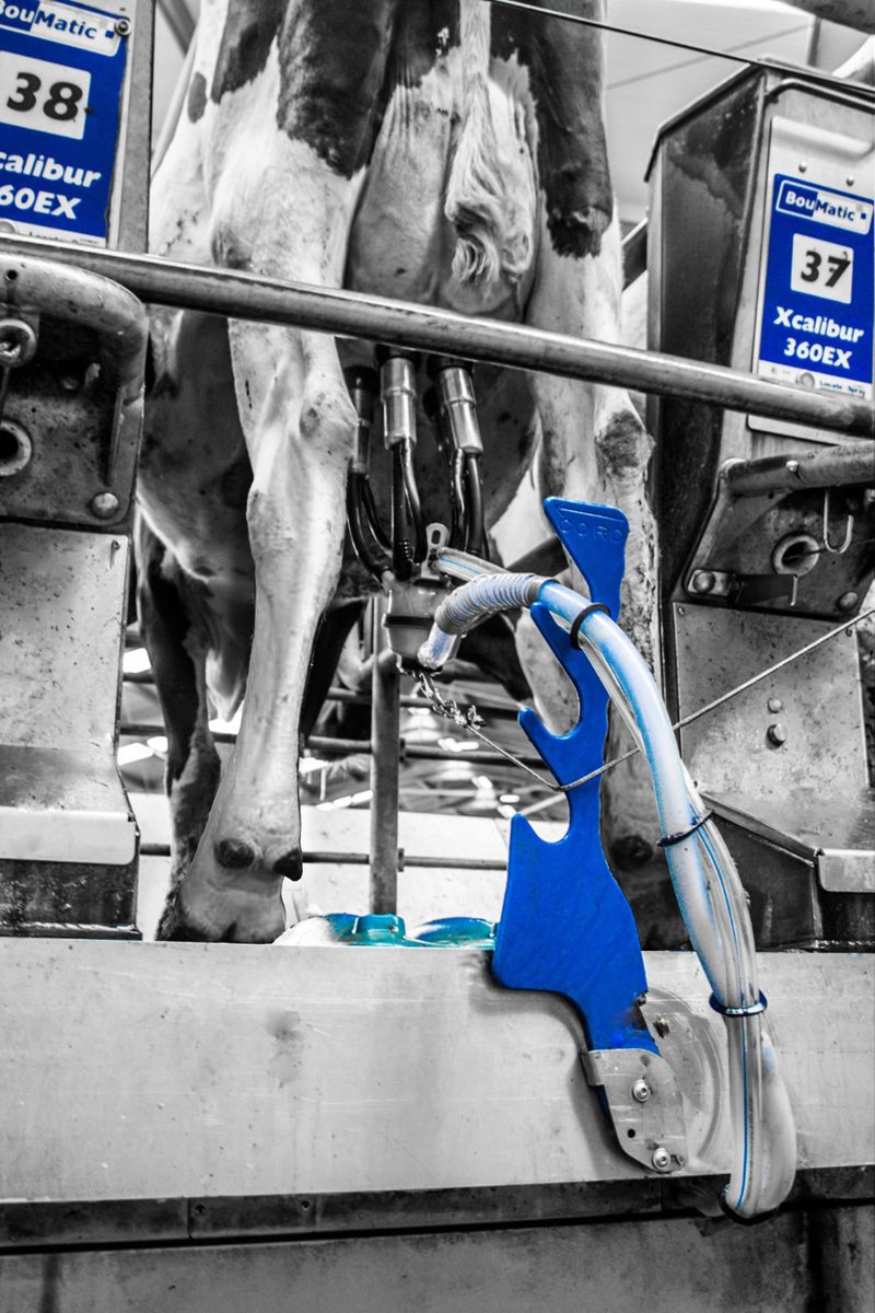 We've some exciting news. We've developed a product to help dairy farmers to balance the weight of the milking cluster - a device called Lactalign. Many may not realise the consequences of a badly positioned cluster. Head to lactalign.com to find out more.