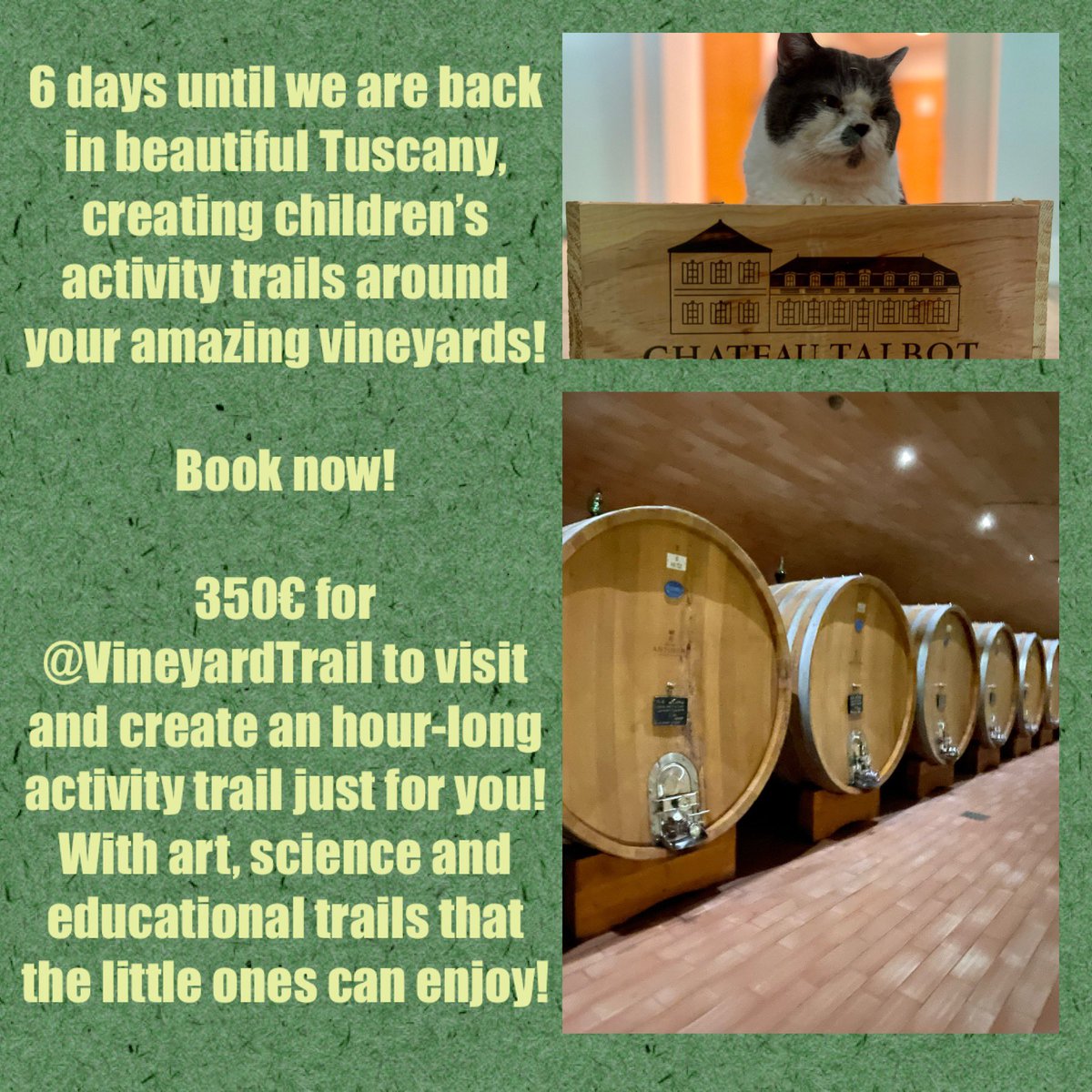 VineyardTrail's tweet photo. @mussobarbaresco @baracchiwinery @BartlettBacchus @castelmonsanto @roccadellemacie Book now! 350aed for @VineyardTrail to visit and create an hour-long activity trail just for you! With art, science and educational trails that the little ones can enjoy! Even the cat is ready!🍷 https://t.co/7ZAcunazkB