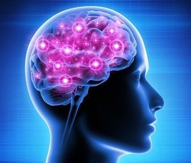 thedoctorsmail's tweet photo. Can hormonal therapy raise brain tumour risk in women?
#thedoctorsmail #doctorsmail #medicalnews #GlobalNews #MedicalEdge #brain #braintumour #cancer #hormonaltherapy #hormone #meningioma #menstrualcycle #pregnancy #breastfeeding #CPA #AakashHealthcare #acne #hairgrowth https://t.co/ZA7ilWST7q