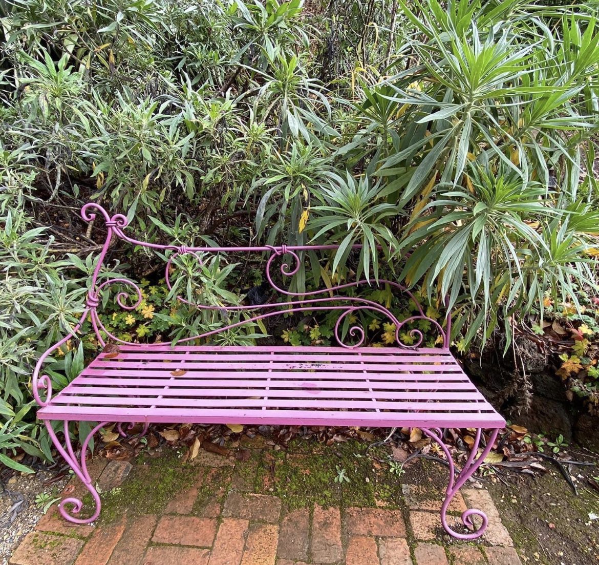 phitchener9's tweet photo. Changing seasons in the Dandenongs. When did you last visit the area? What was the most memorable moment? #sassafras #fernycreek #olinda #monbulk #belgrave #upwey #tecoma #belgraveheights #dandenongranges #mountains #mtdandenong #thousandsteps #trees https://t.co/EBwVI3Xn9s