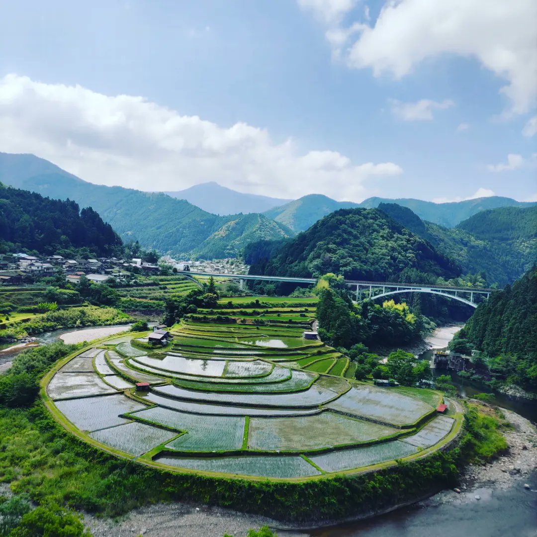 あらぎ島の棚田 Twitter Search Twitter