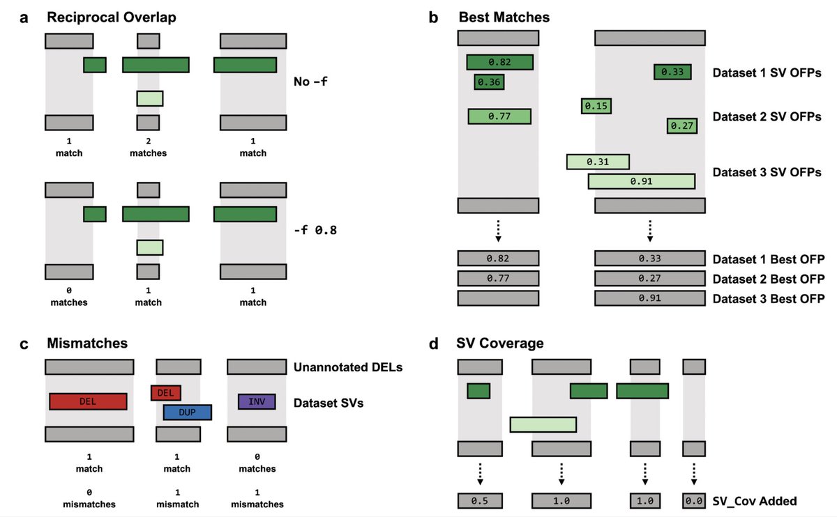 SVAFotate: Annotation of structural variants with reported allele frequencies and related metrics from multiple datasets biorxiv.org/content/10.110…