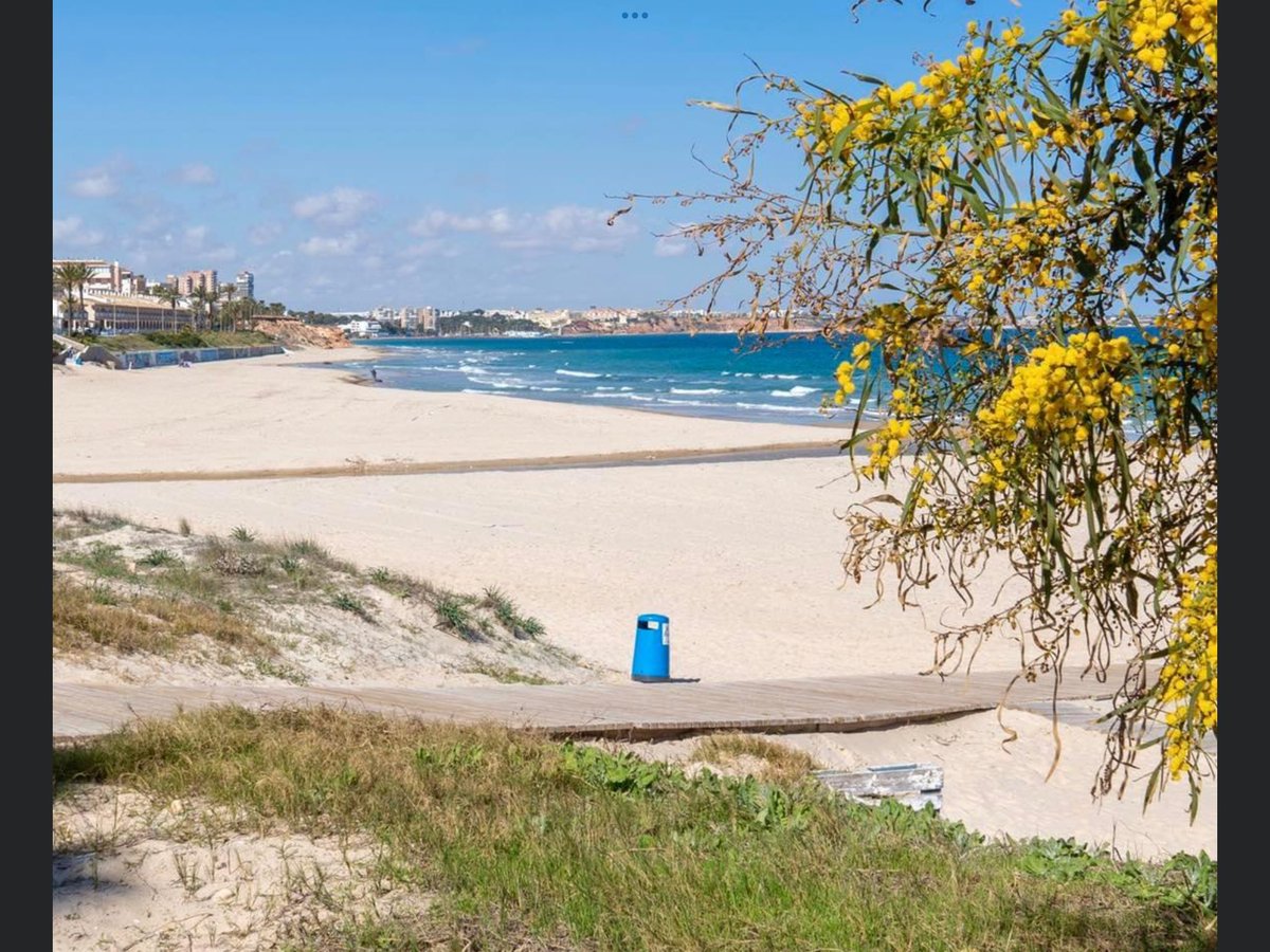 #Milpalmeras stunning! 9th Best beach in Spain,,#blueflag my morning wake up