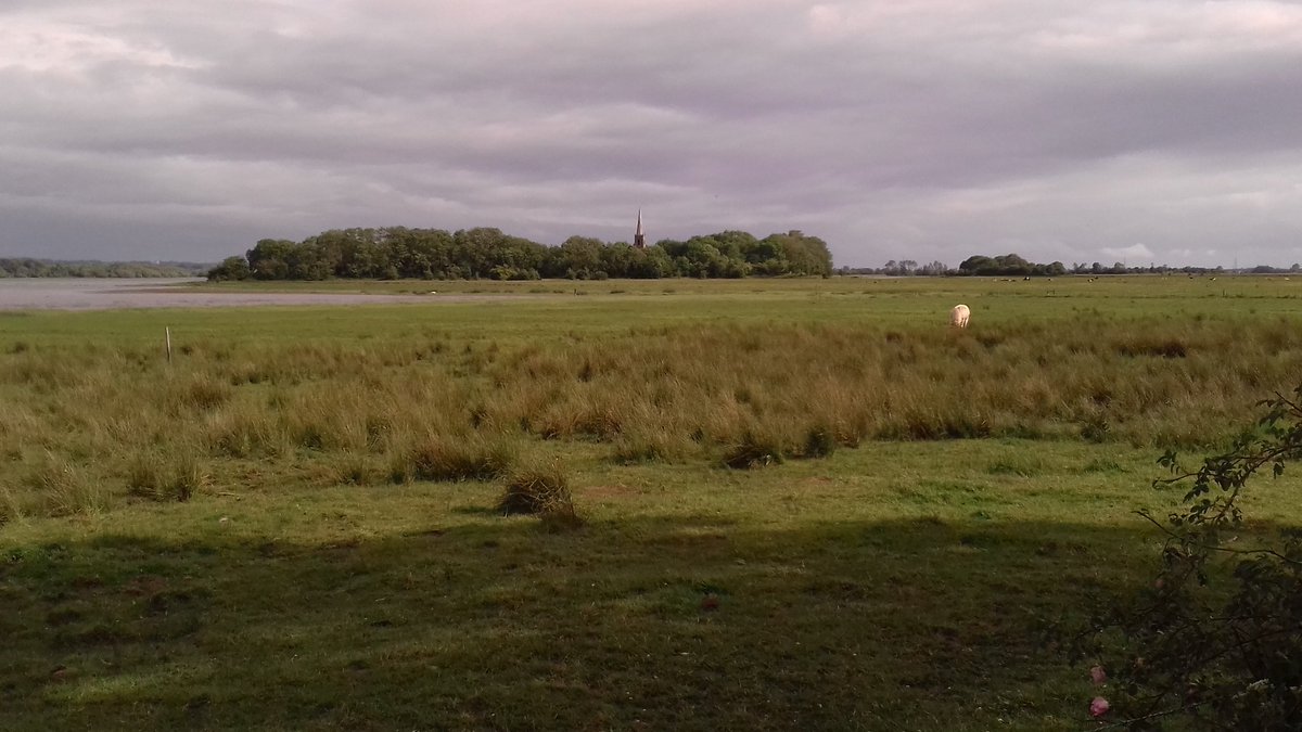 eastofelveden's tweet photo. 'Across that strand of yours the cattle graze'. A visit to Lough Beg near Bellaghy yesterday #SeamusHeaney #Bellaghy #NorthernIreland #LoughBeg #poetry https://t.co/ghVPxc02vH