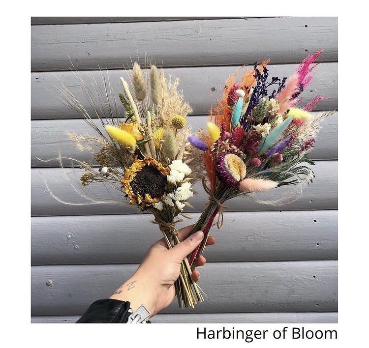 Greenwood Presents tweet media