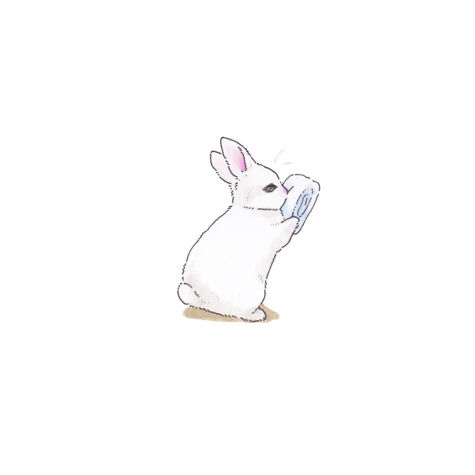 ふわふわの

干したてタオル

\ スゥーっ / 