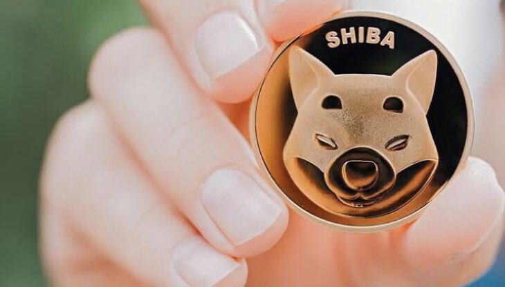 Hasanhs76352195's tweet photo. If Shiba adds two more zeros, the man doesn't care, all he knows is NFT and hamburger, you can't do this job, we'll watch and see if the shiba pump will come or not, let's see what happens. @ShytoshiKusama @shibainuart #SHIB #SHIBARMY #shiba #Crypto #Ethereum #NFT https://t.co/aYgNG8l2c9