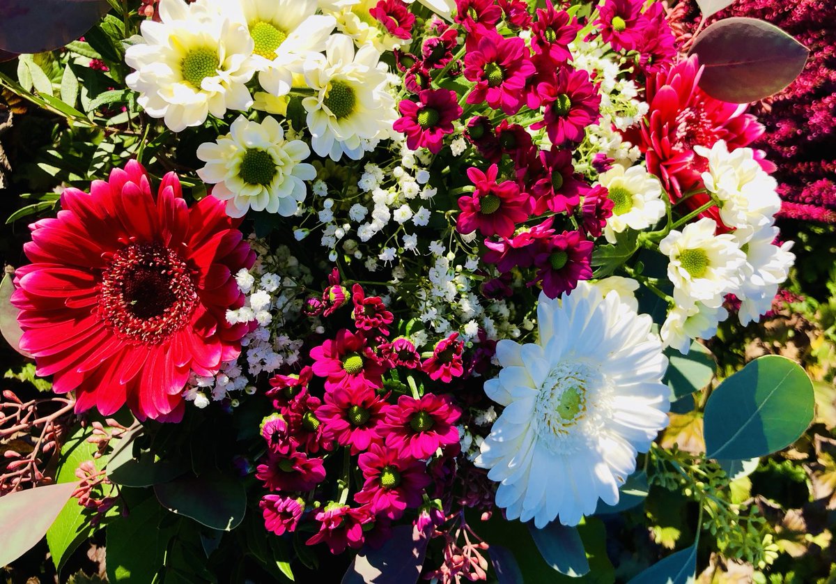 S_Stresemann's tweet photo. #Summer #Vibes 🌸🌞🌺
#summervibes https://t.co/zoUnxU0p4h